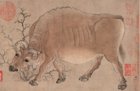 �� �n�꡶��ţ�Dȫ�������ֲ���